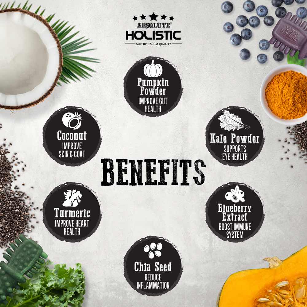 12 FOR $12: Absolute Holistic Boost Blueberry Grain-Free Dental Dog Chew 25g