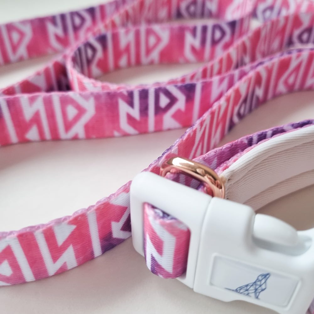 Boss & Olly Convertible Multi-Functional Dog Leash (Fruity Sorbet)