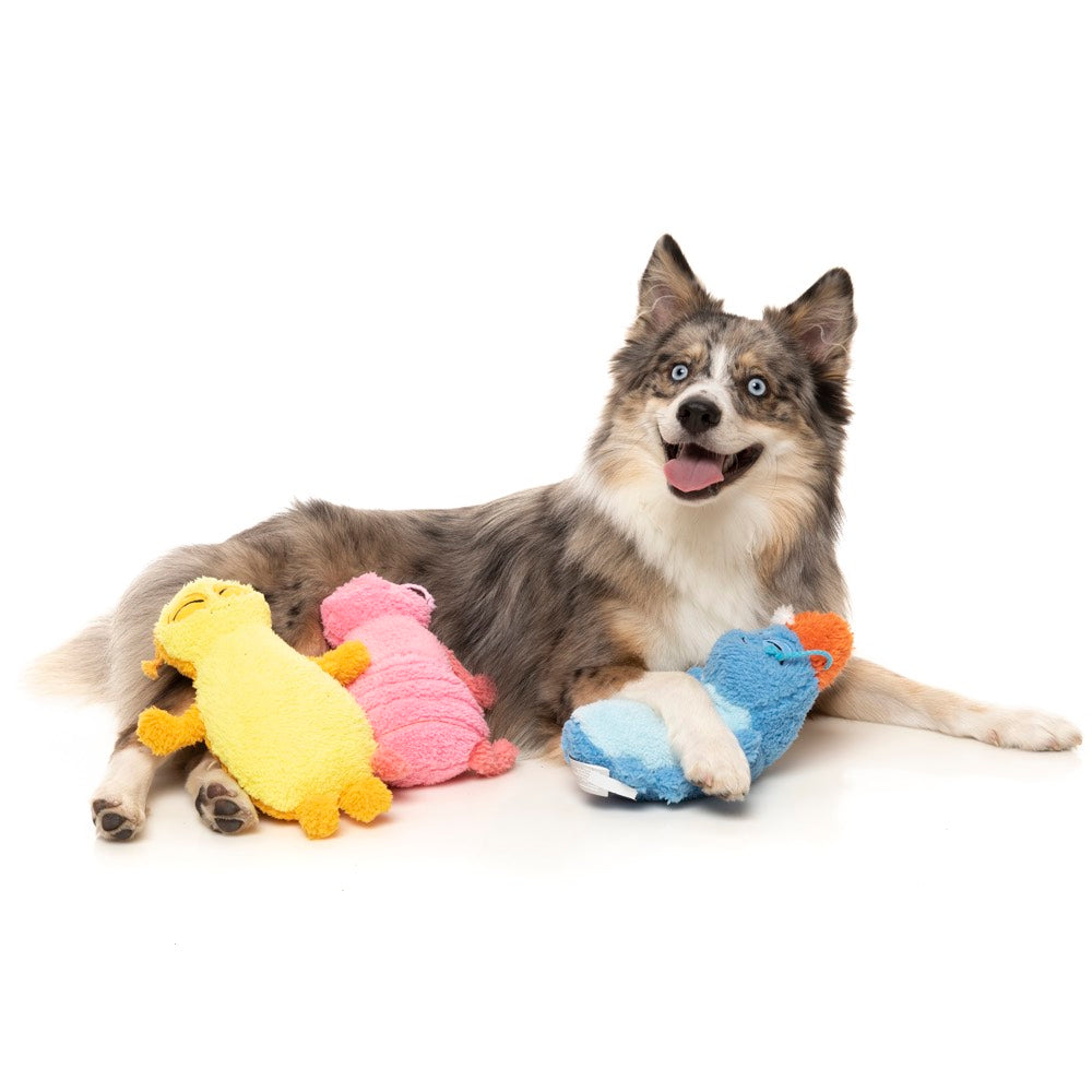 FuzzYard Flutter The Bed Bug Plush Dog Toy (Pink)