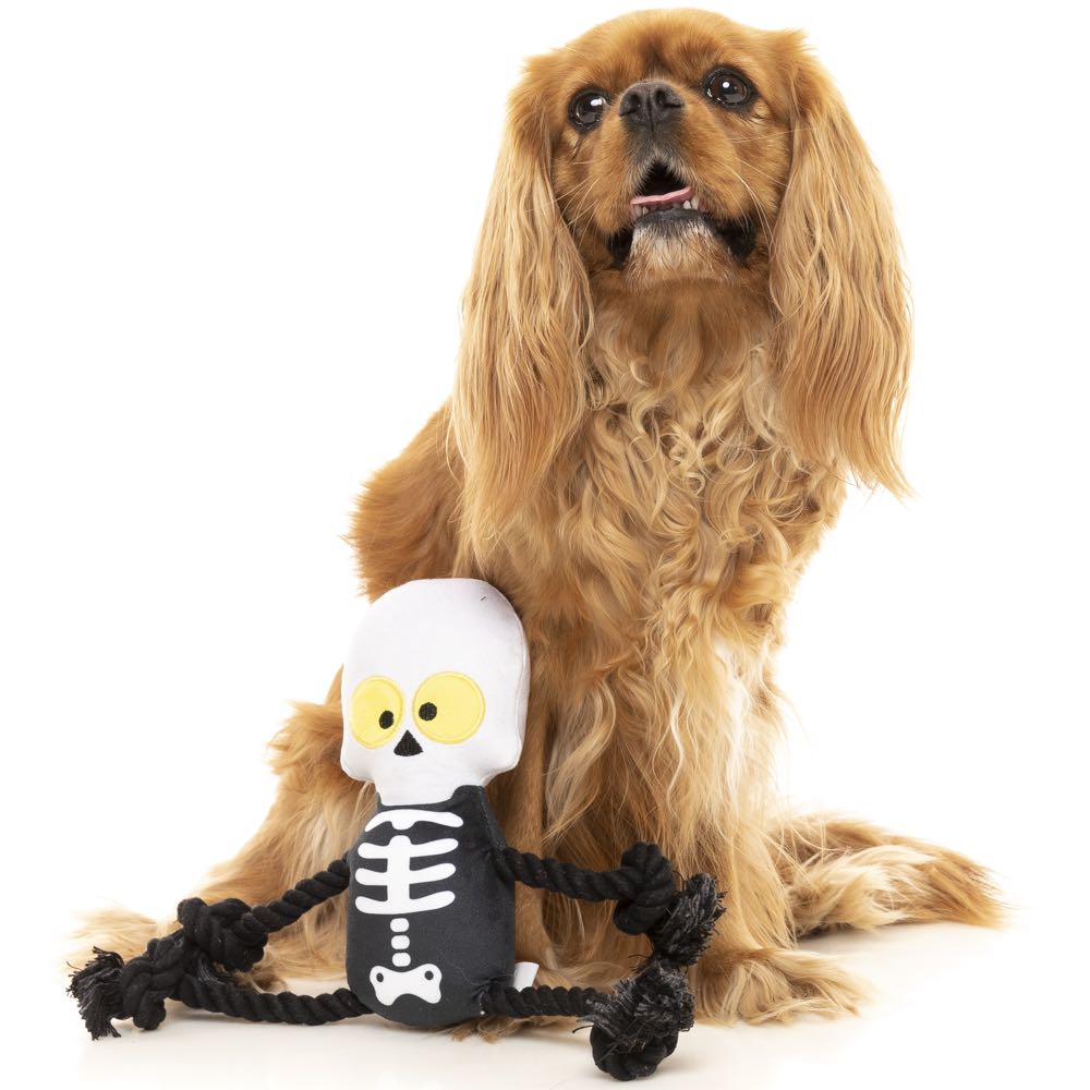 15% OFF: FuzzYard Halloween Indiana Bones Rope Plush Dog Toy