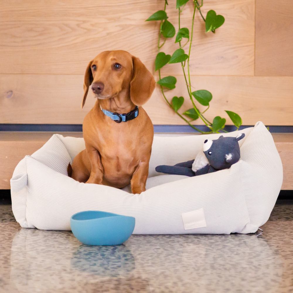 15% OFF: FuzzYard Life Silicone Dog Bowl (Myrtle Green)