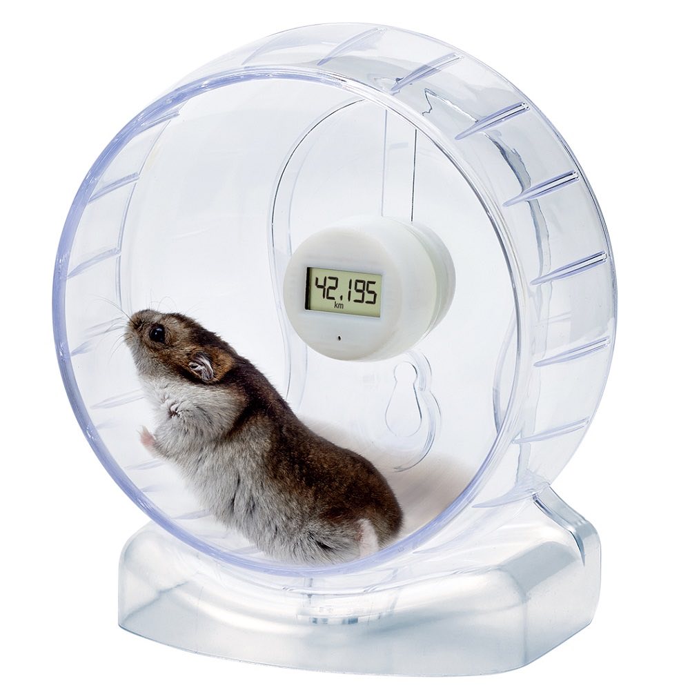Marukan Clean & Clear Hamster Wheel With Running Meter (15cm)